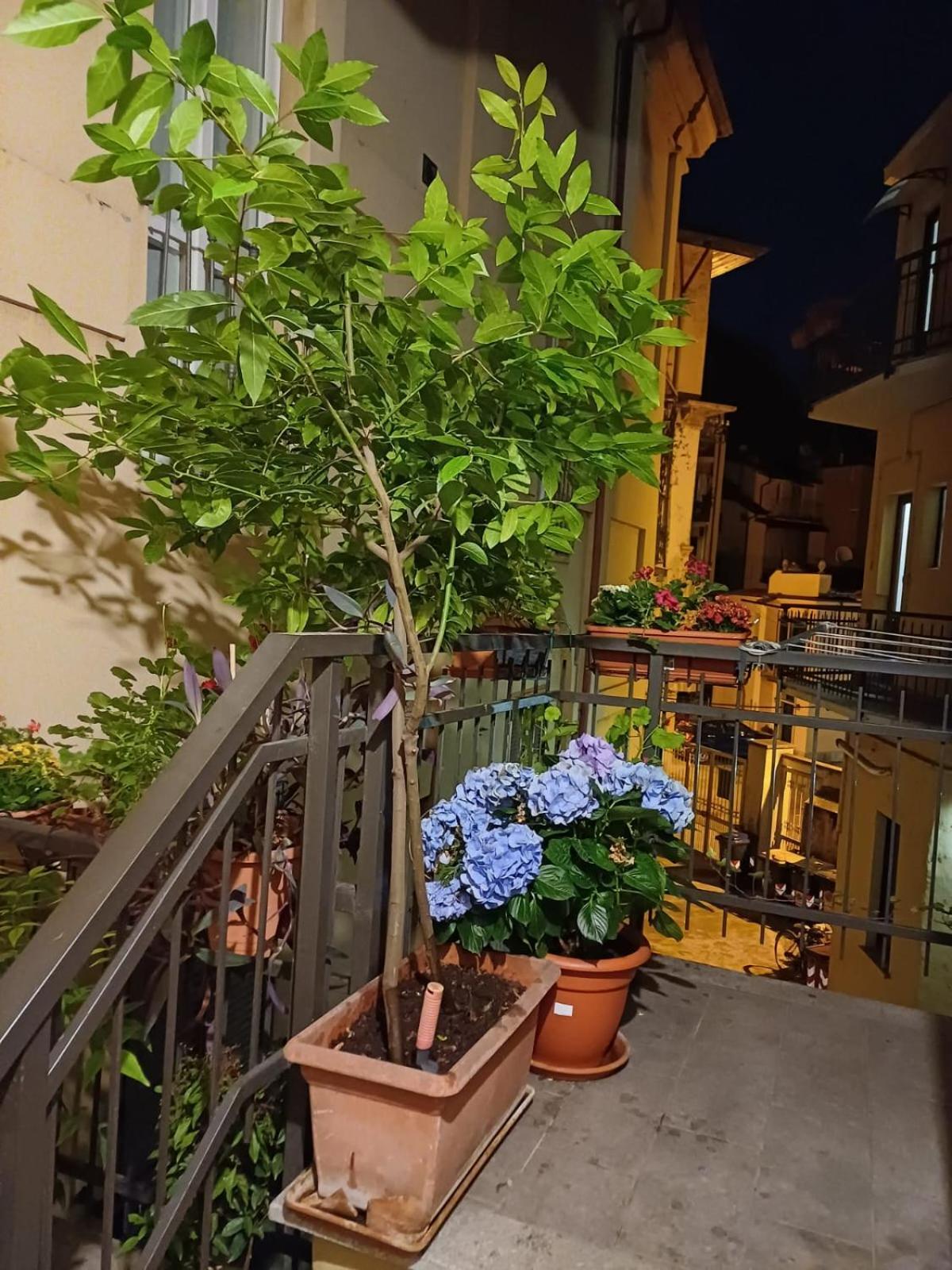 Ferienwohnung La Terrazzina, Silenzioso, Zona Piazza Gran Madre Turin Exterior foto